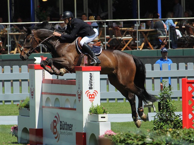 手需要重新 手需要重新