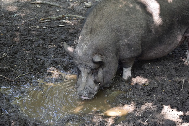 铭记的瞬间 铭记的瞬间