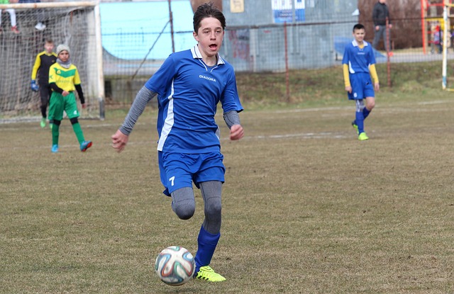 她积极引进 她积极引进