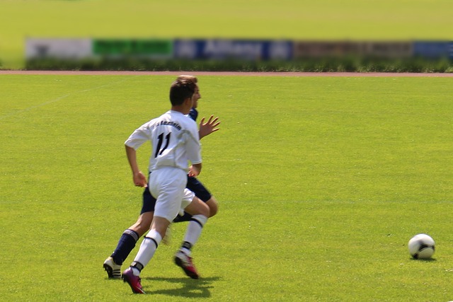 体育明星与 体育明星与