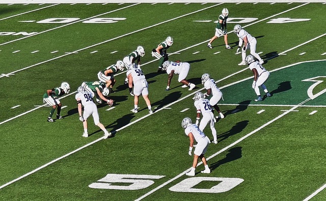 京多安在评 京多安在评