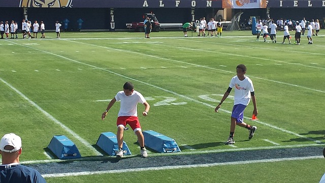 收的一年 收的一年