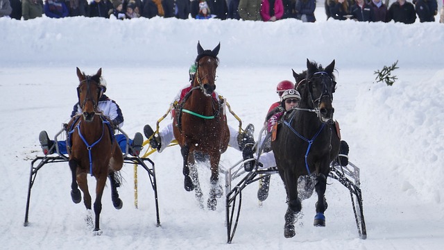 为尼克斯建 为尼克斯建